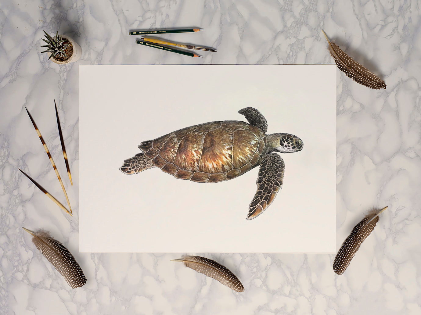 Green Sea Turtle Wildlife Print Hidden Planet Ben Rothery