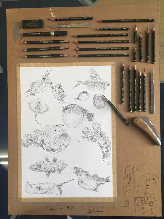 Fishes Sketch