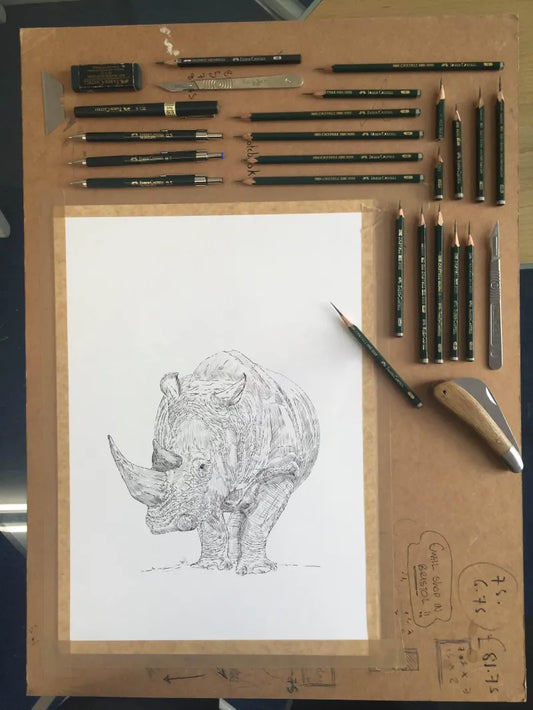 Southern White Rhino Sketch