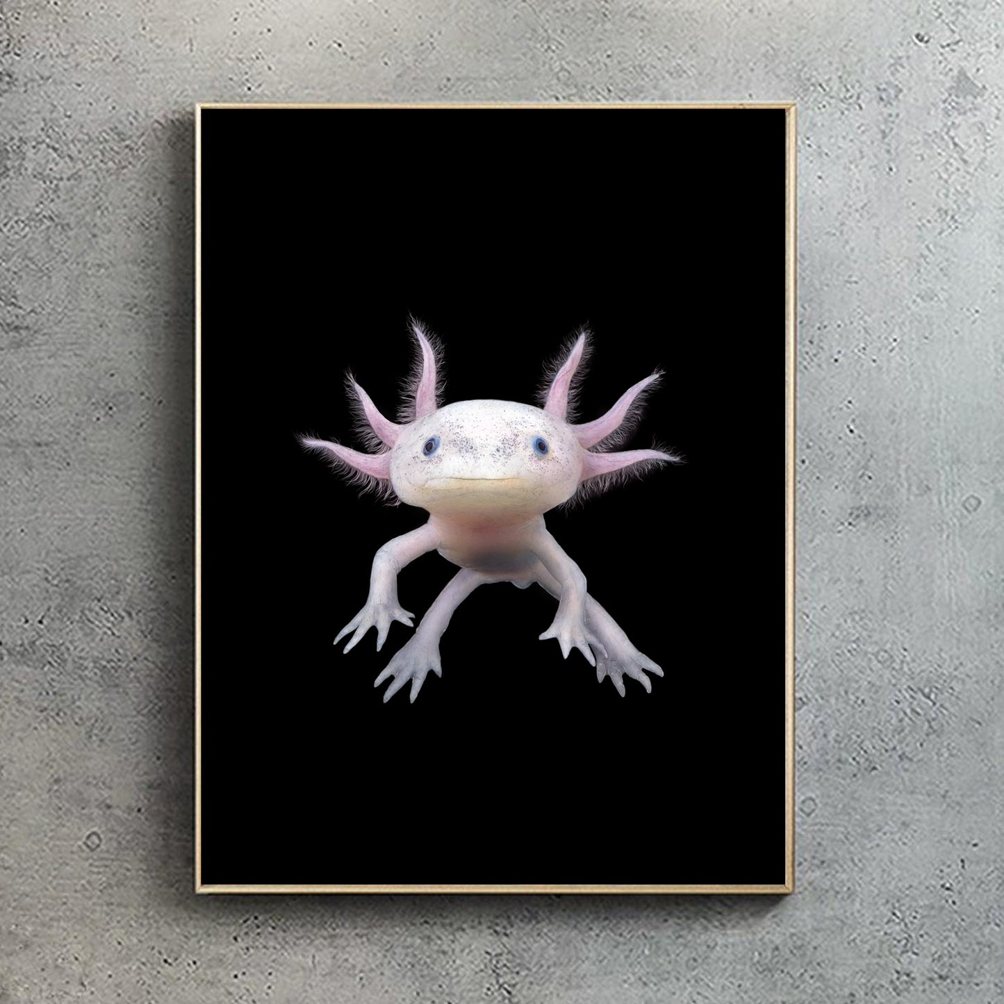 Axolotl