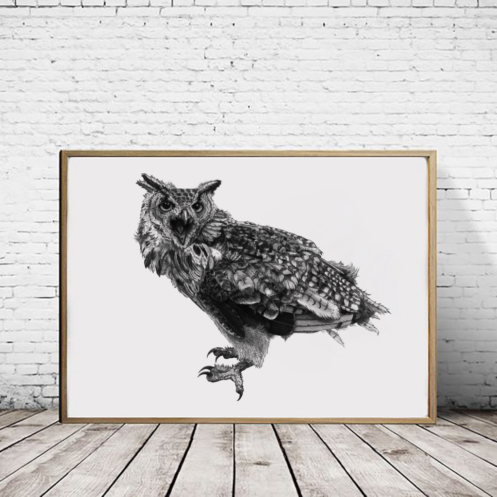 African Eagle Owl Print A4 size - Black and White - Reduced to Clear