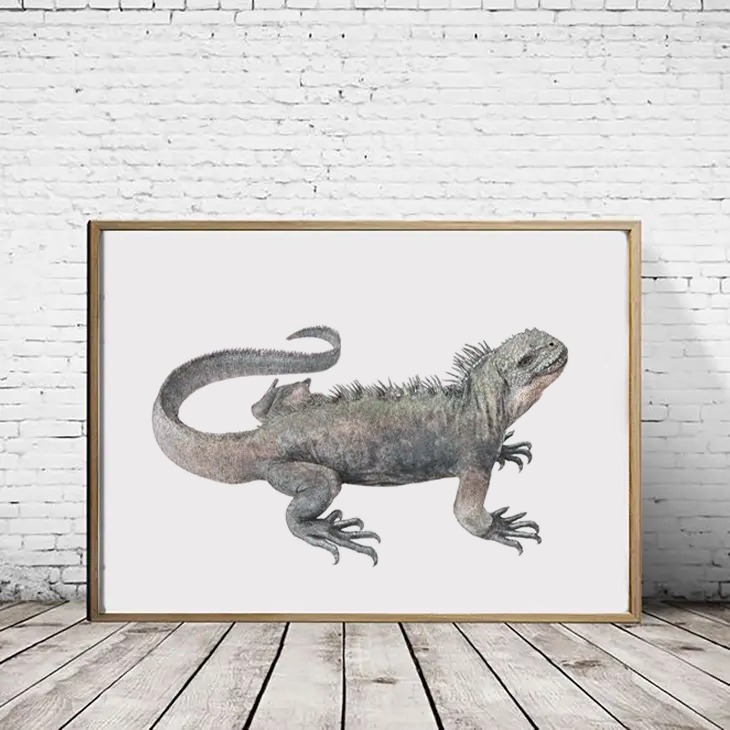 Marine Iguana print - Reduced to Clear