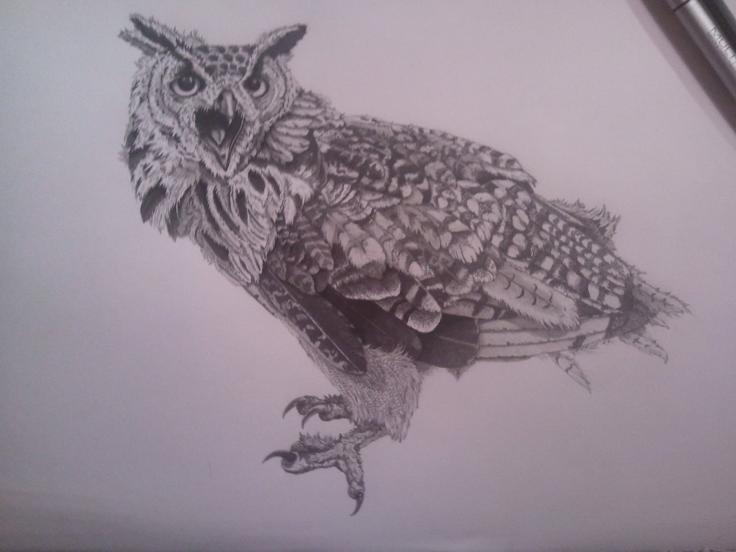 African Eagle Owl Print A4 size - Black and White - Reduced to Clear