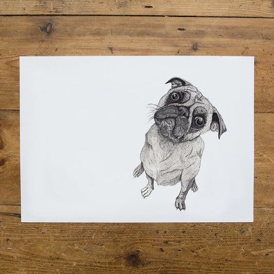 It wasn't Me - Pug Print - Reduced to Clear