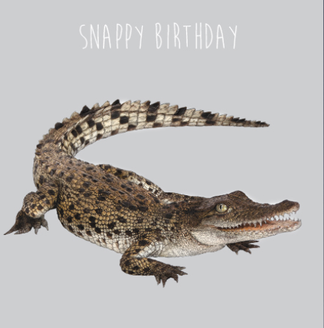 Snappy Birthday - Birthday Card