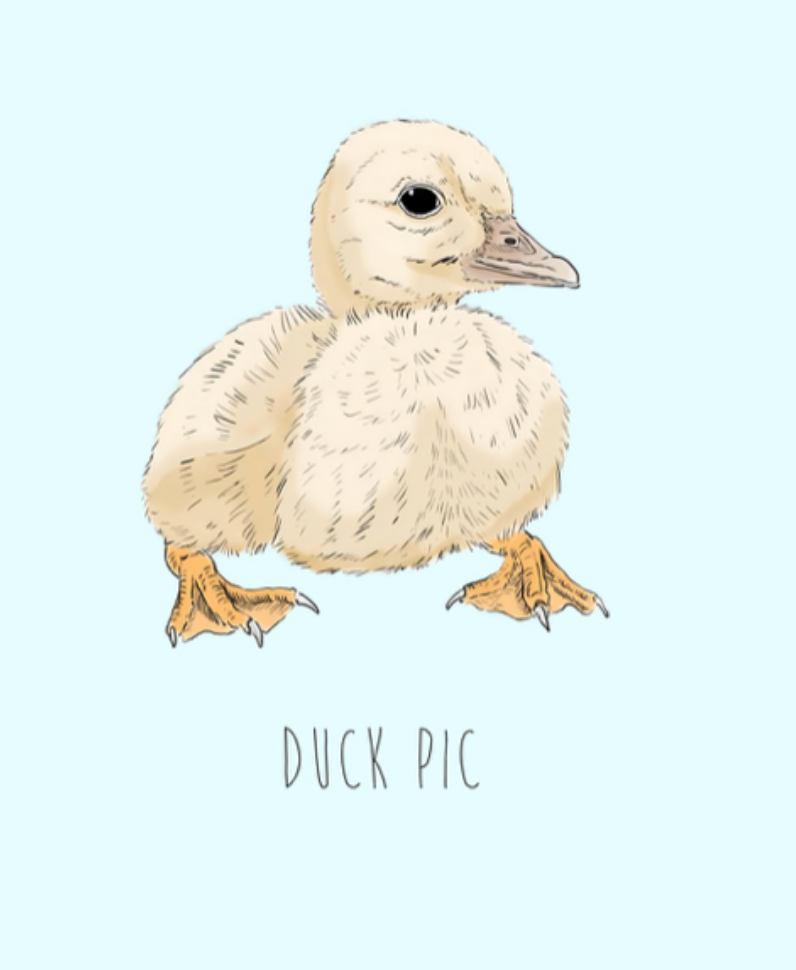 Duck Pic - funny valentines Card