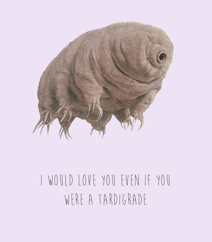 I Would Love You Even if You Were a Tardigrade - Valentines Card