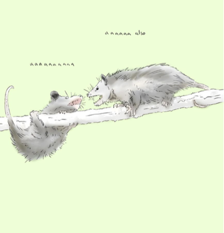 Aaaaaa also - Opossum Meme Valentines Card