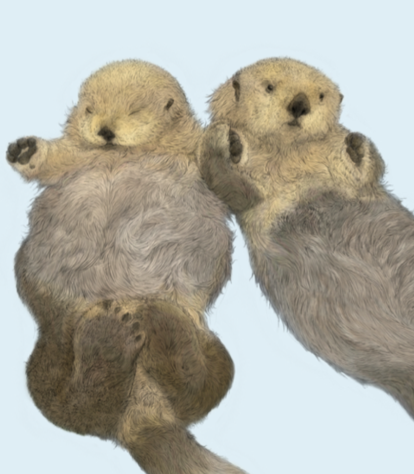 Sea Otters - valentines Card