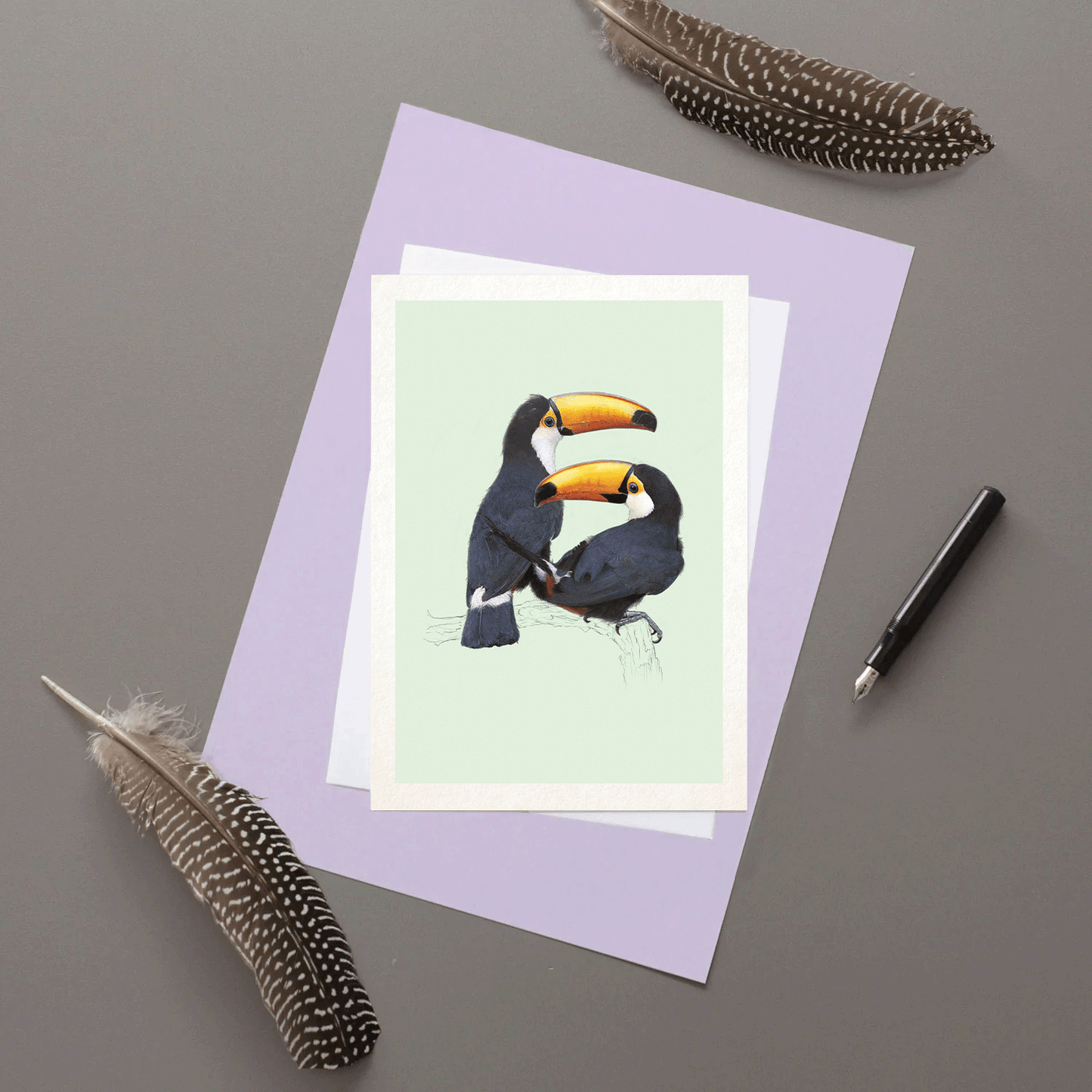 Toco Toucans Pair - valentines day Card