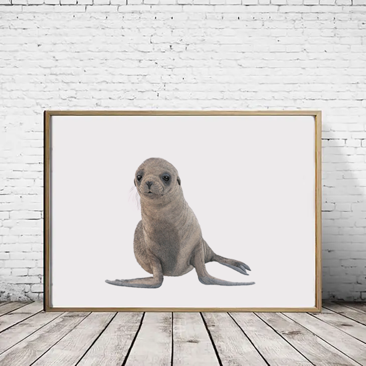 A4 Cape Fur Seal  - Reduced to clear