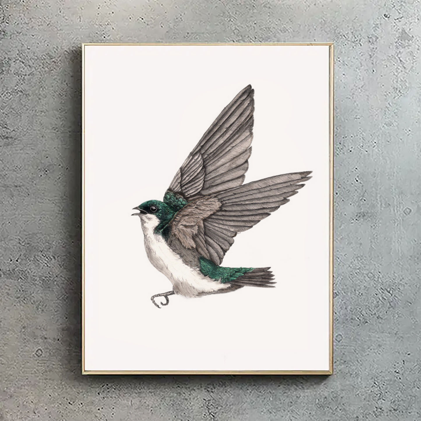 Green Tree Swallow