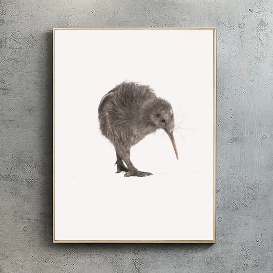 Brown Kiwi print - Reduced to clear