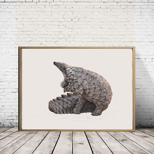 Temnicks Ground Pangolin