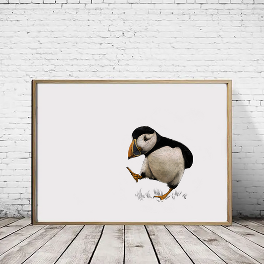 Atlantic Puffin Print - Landscape