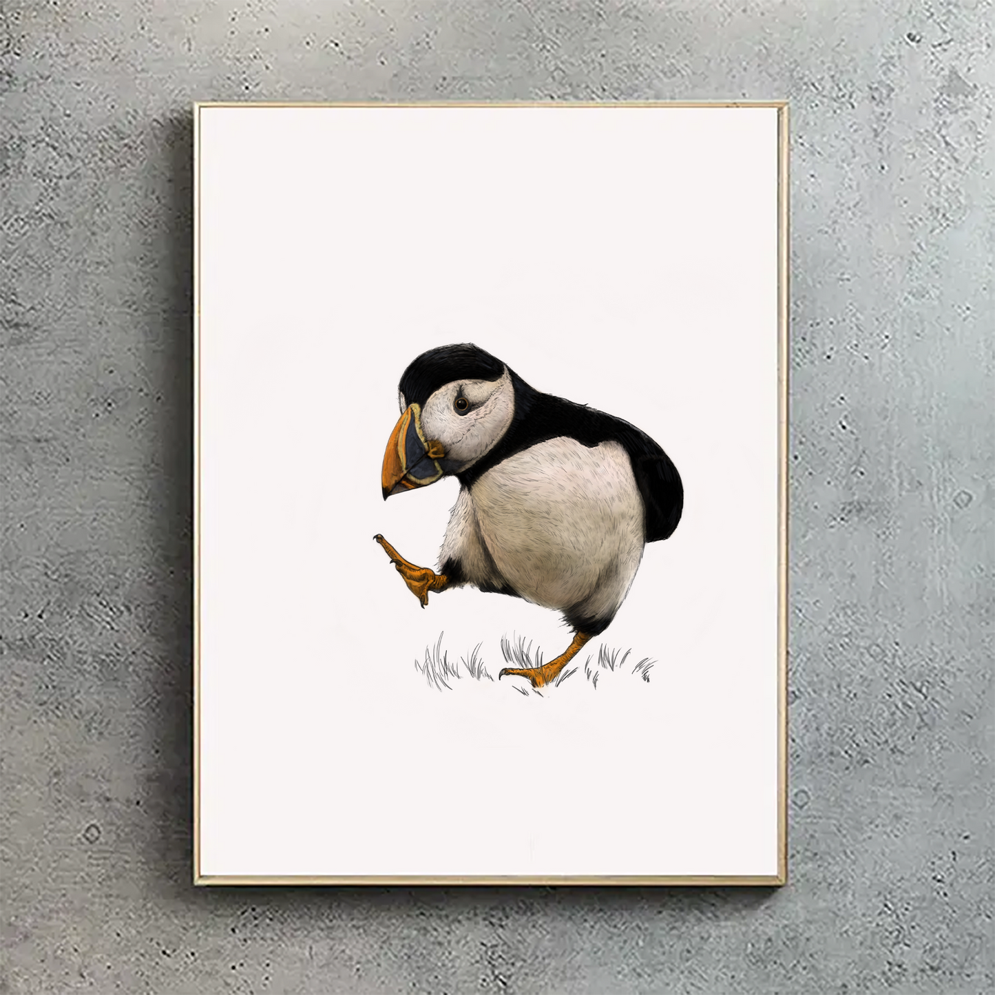 Atlantic Puffin Print -  Portrait