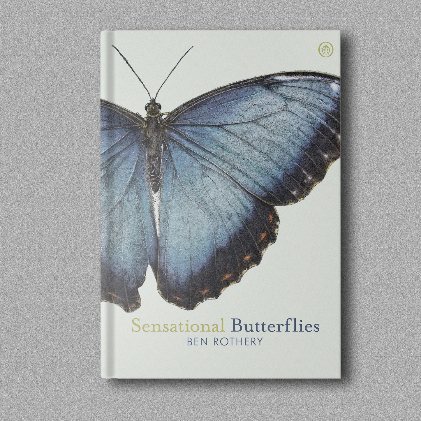 Sensational Butterflies – Ben Rothery (Paperback)