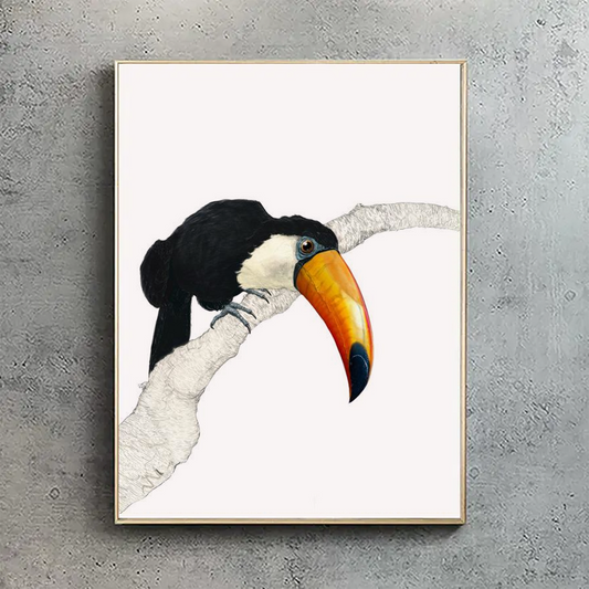 Toco Toucan Print V1 - Reduced to Clear