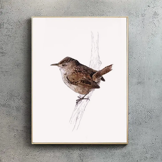 Eurasian Wren print - portrait