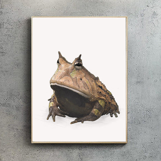 Amazon Horned Frog print