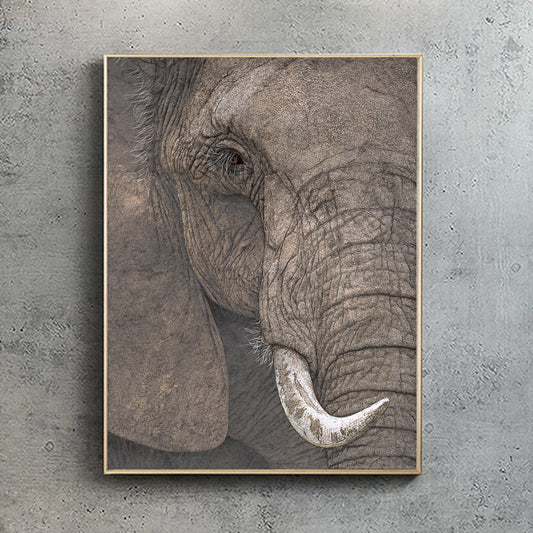 Ancient - African Elephant Portrait Print