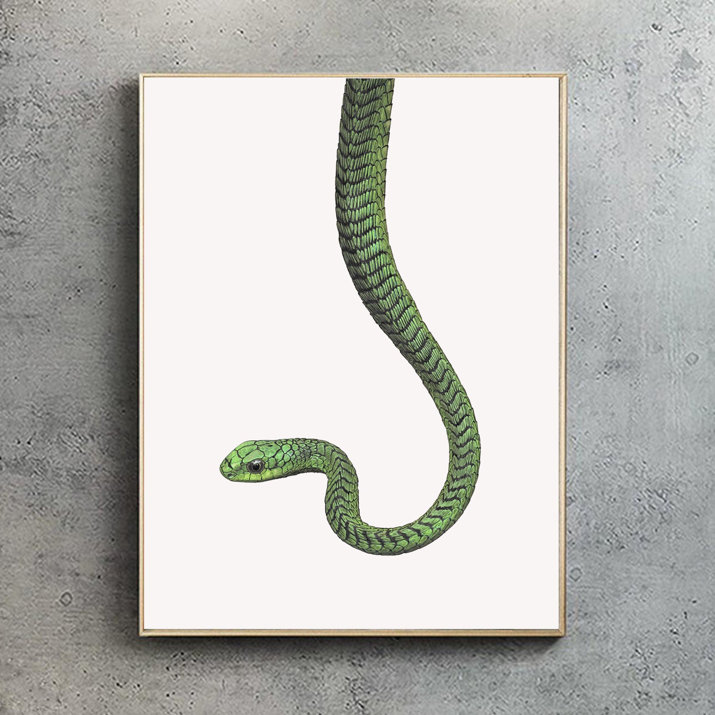 Boomslang