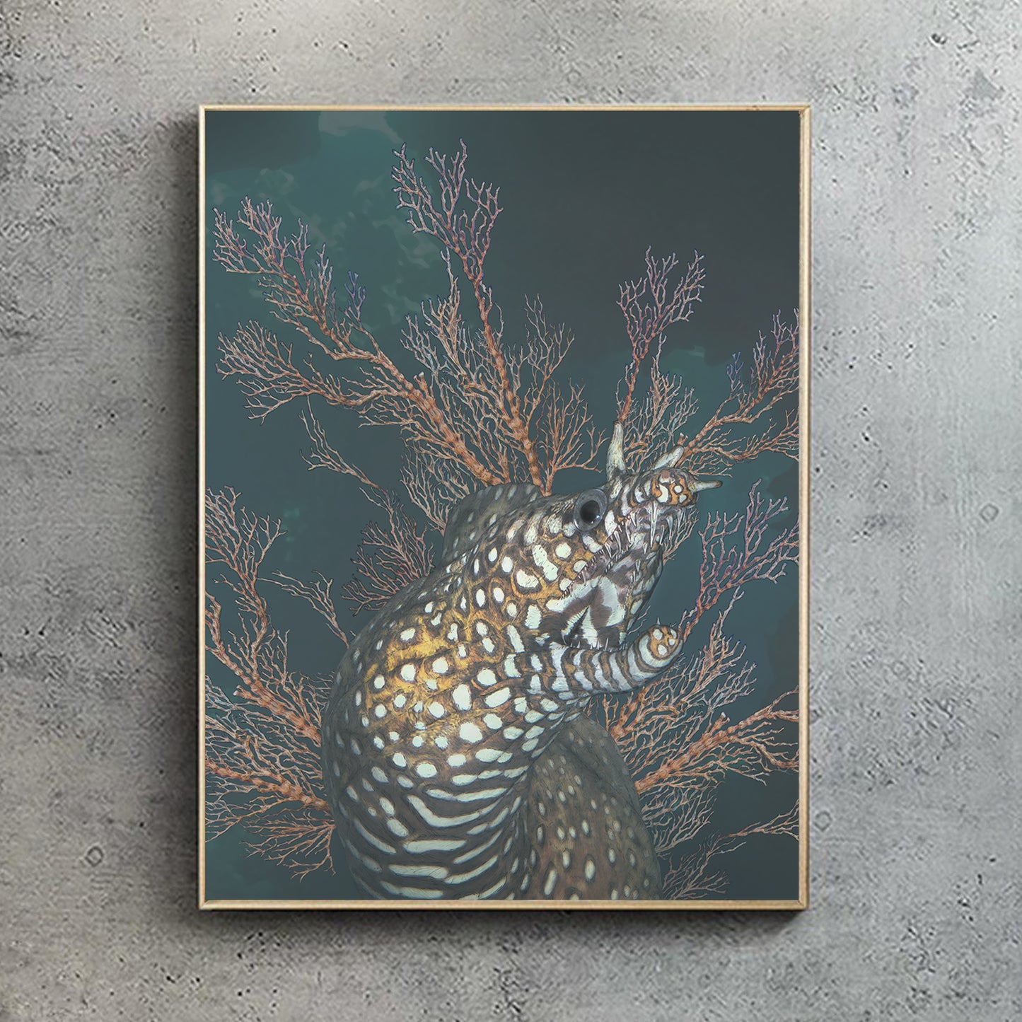 Dragon Moray (Artists proof)