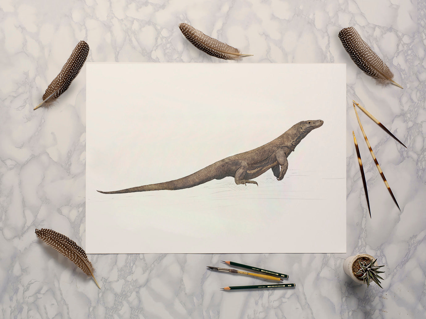 Komodo Dragon print - A4 size - reduced to clear