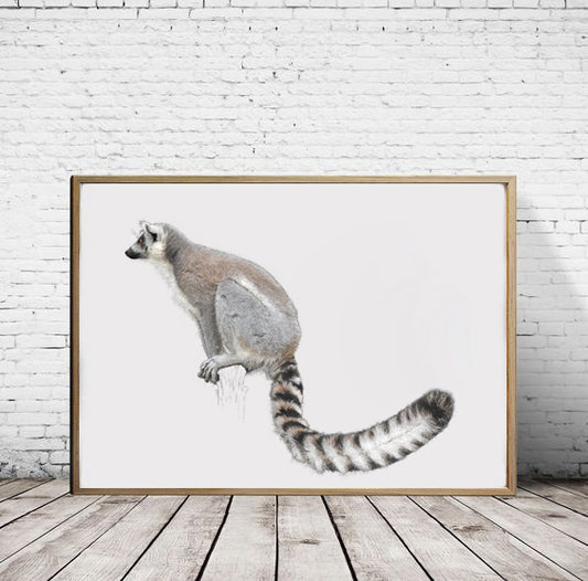 Ring Tailed Lemur