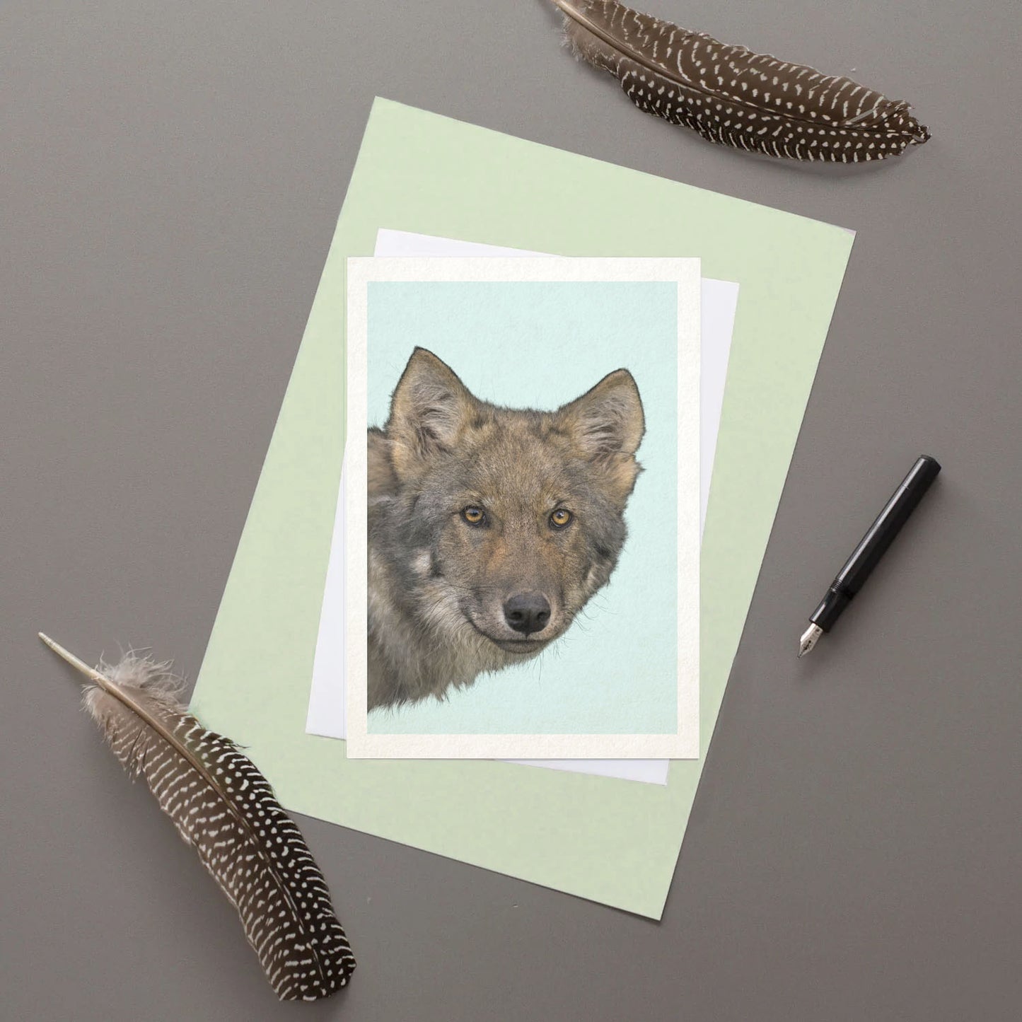 Grey Wolf - Greeting Card - Reduced to clear