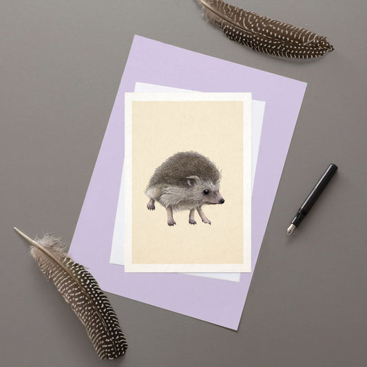 Hedgehog - Greeting Card