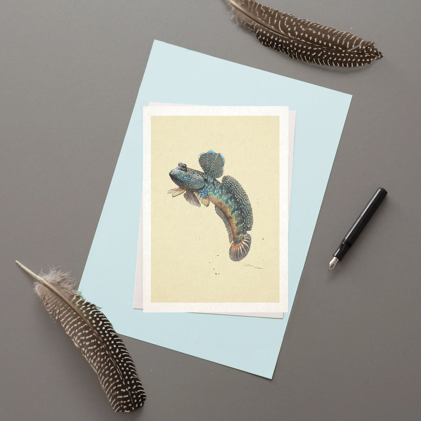 Mudskipper - Greeting Card - Reduced to Clear