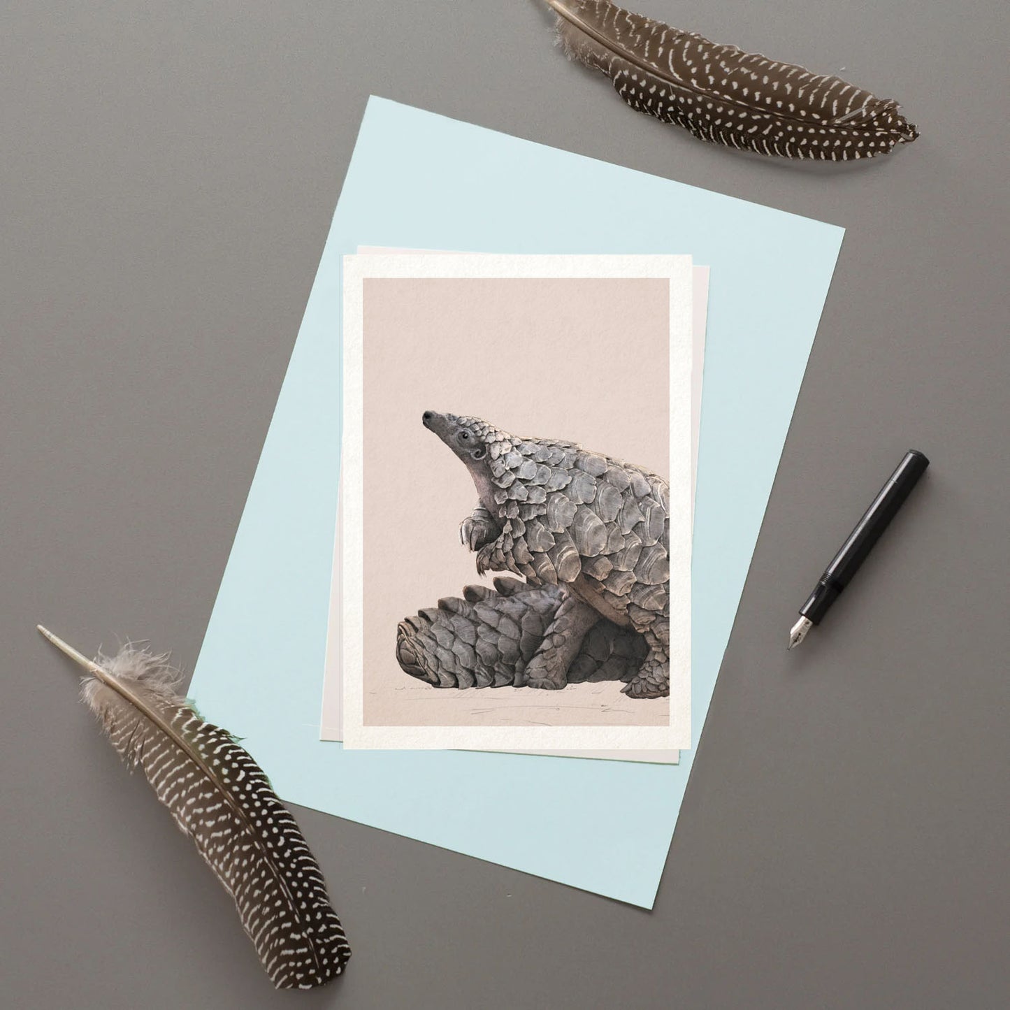 Pangolin - Greeting Card