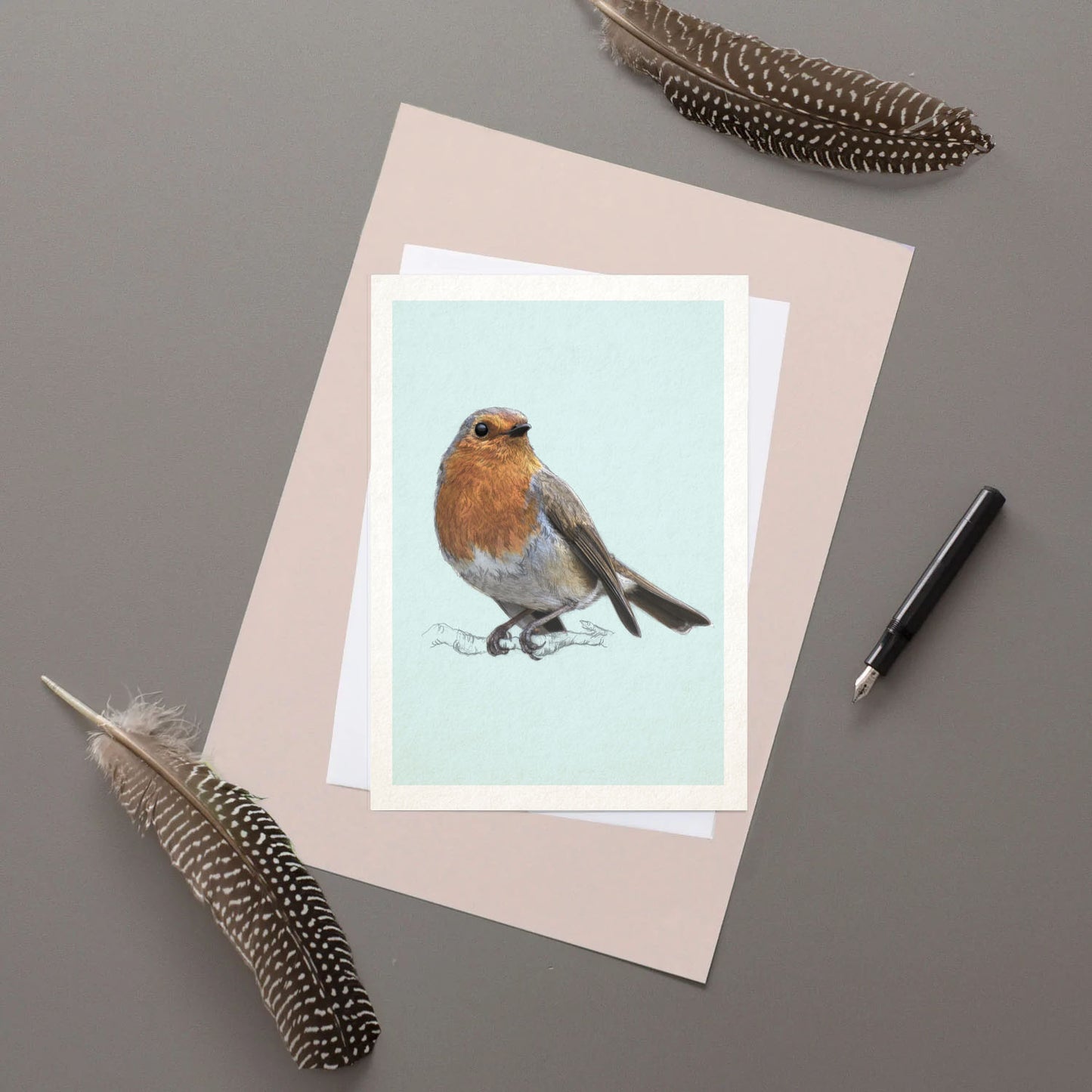 European Robin - Greeting / Christmas Card