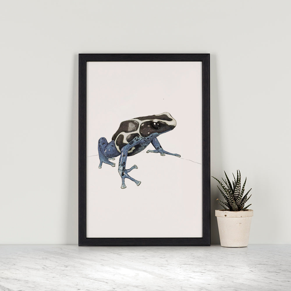 Dyeing Poison Dart Frog portrait