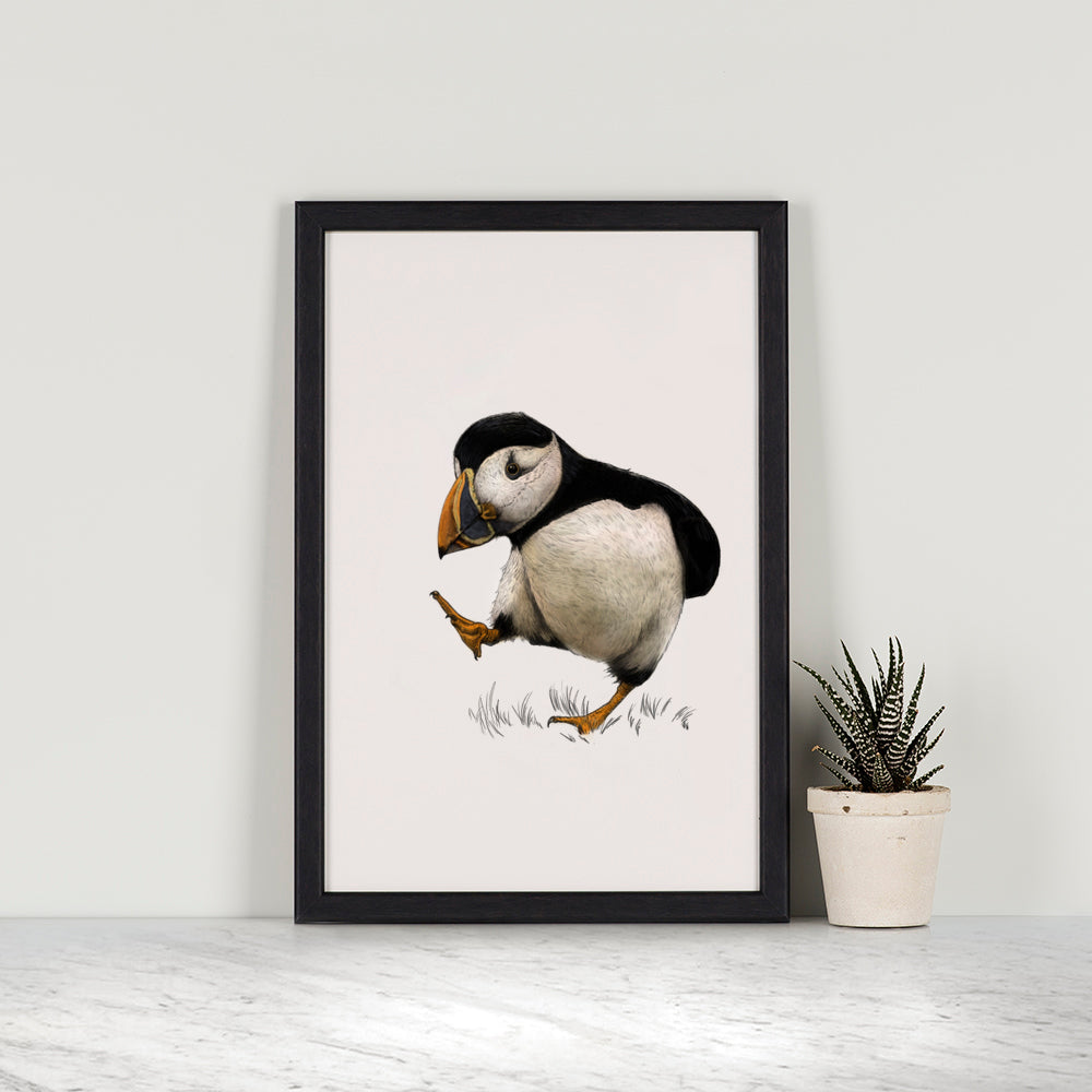 Atlantic Puffin Print -  Portrait