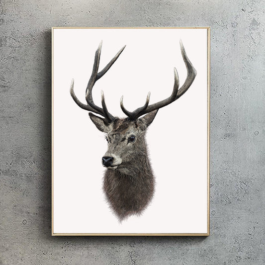 Red Deer Stag print - A3 size - reduced to clear