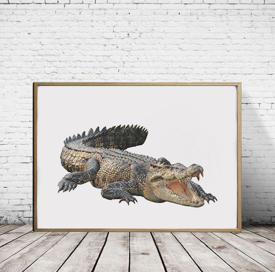 Saltwater Crocodile print - reduced to clear