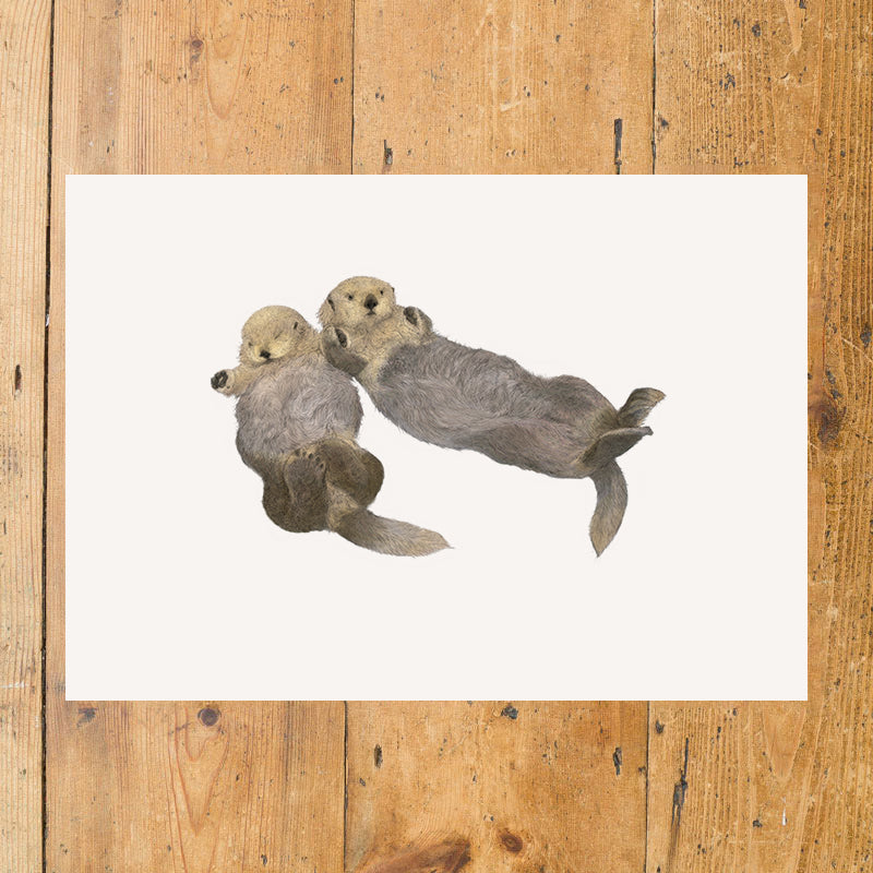 Sea Otters