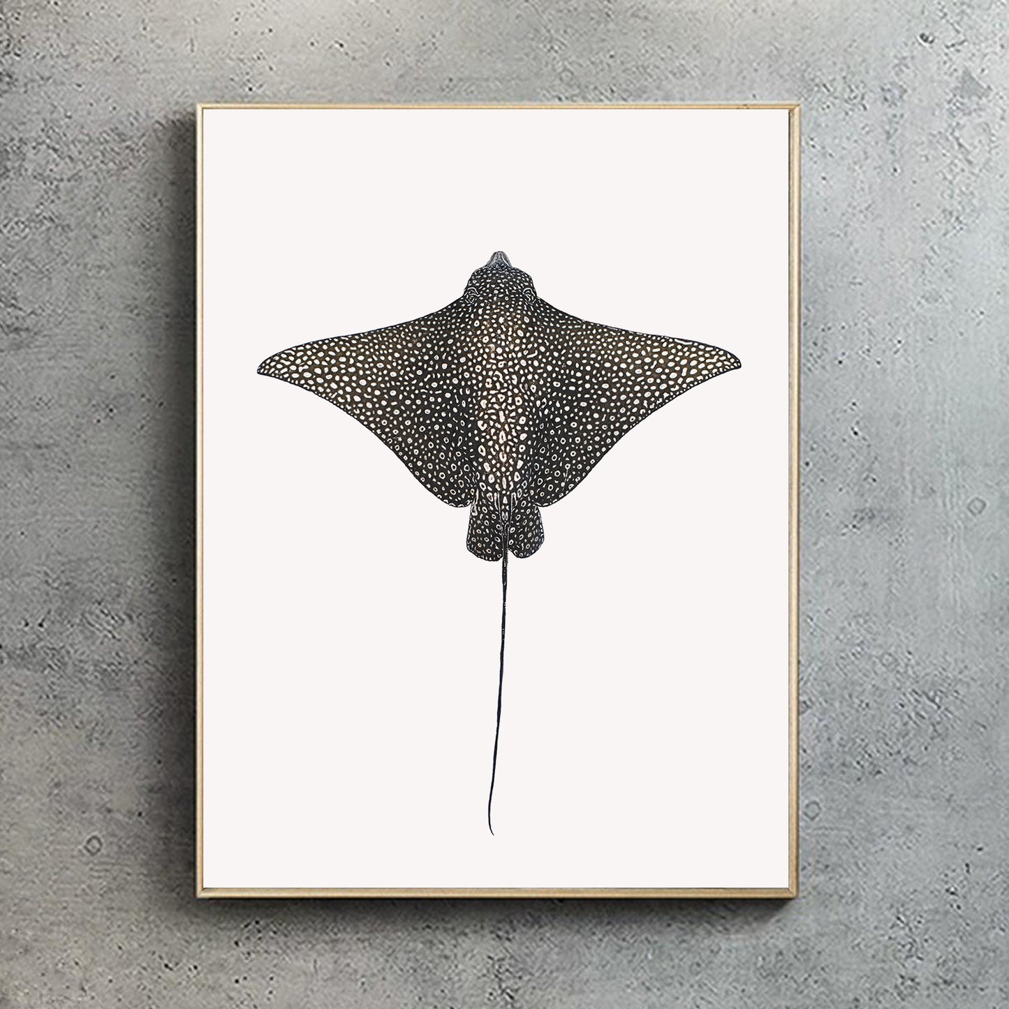 Spotted Eagle Ray