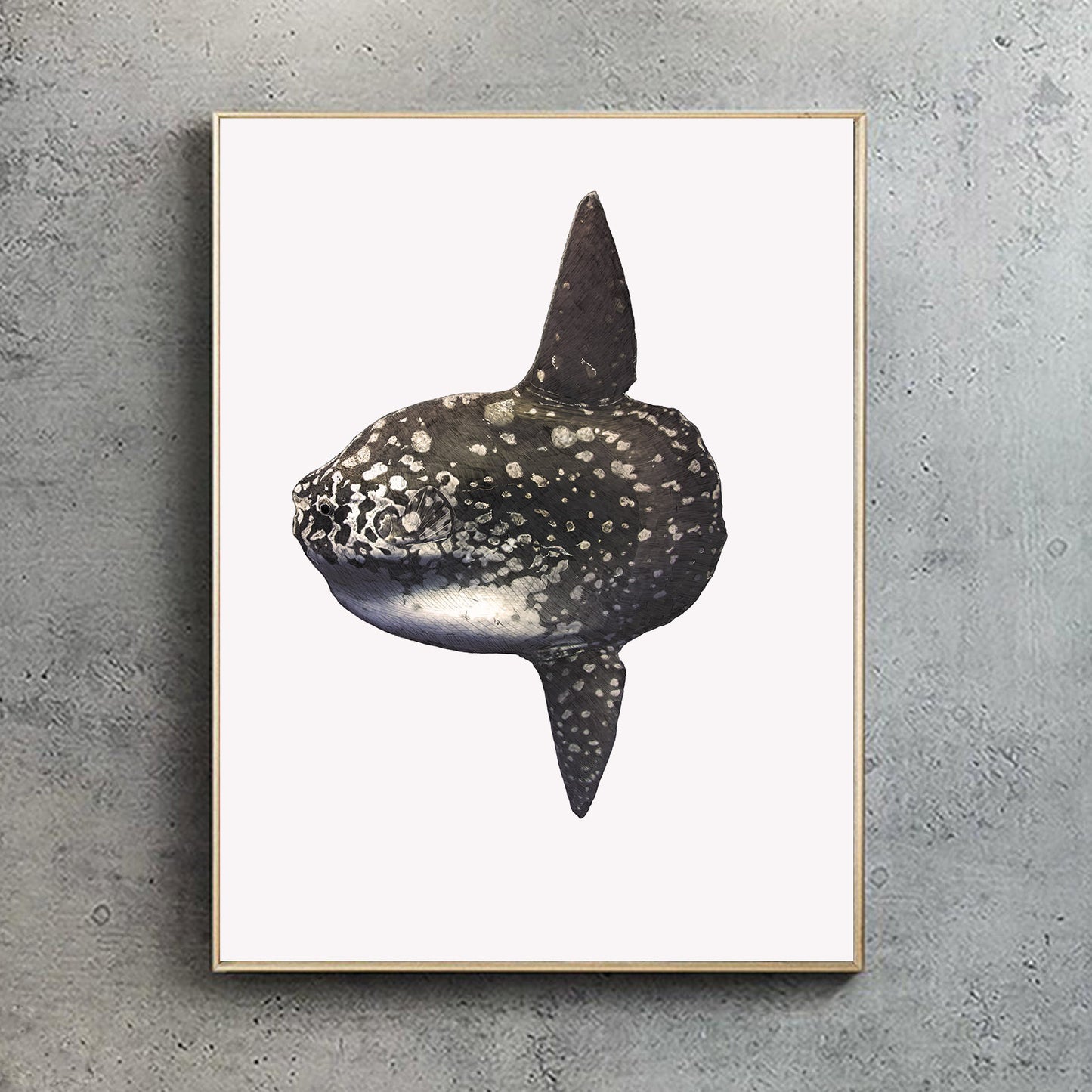 Ocean Sunfish Print - Reduced to clear