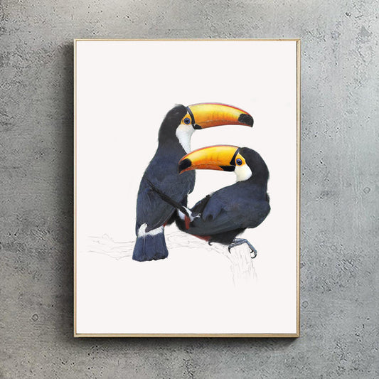 Toco Toucans