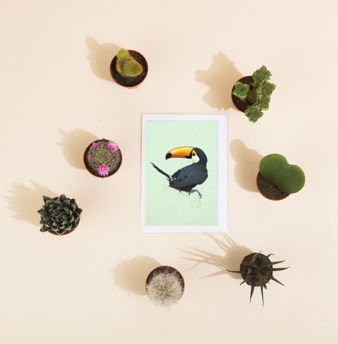 Puffin - Greeting Card