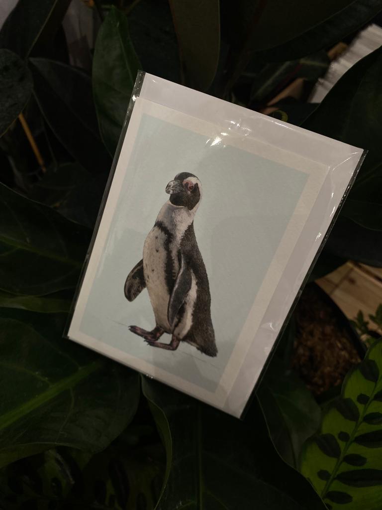 Jackass Penguin - Greetings Card