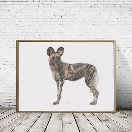 African Wild Dog Print